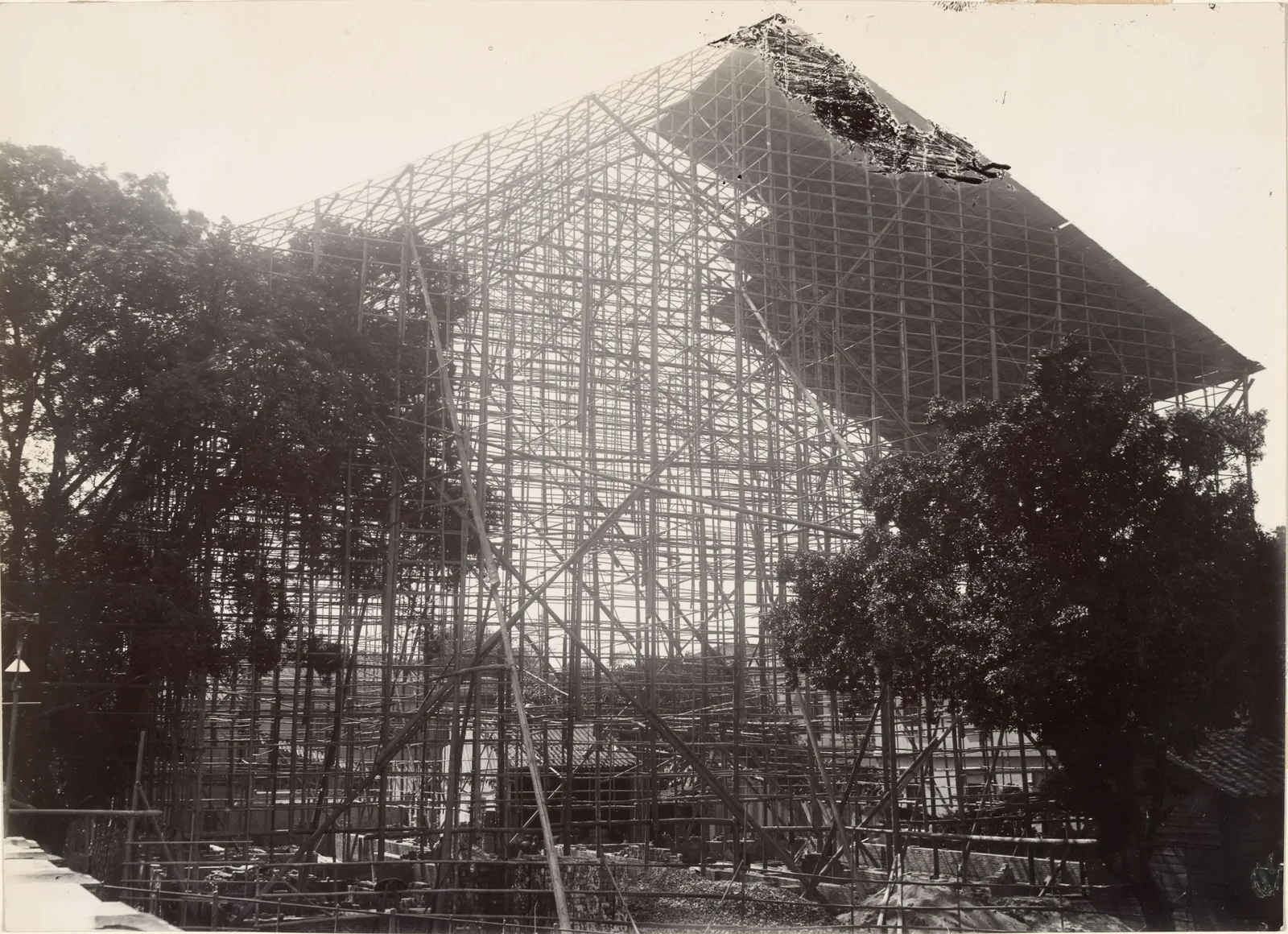 A huge pitched shed of bamboo poles and matting over a building site among trees.