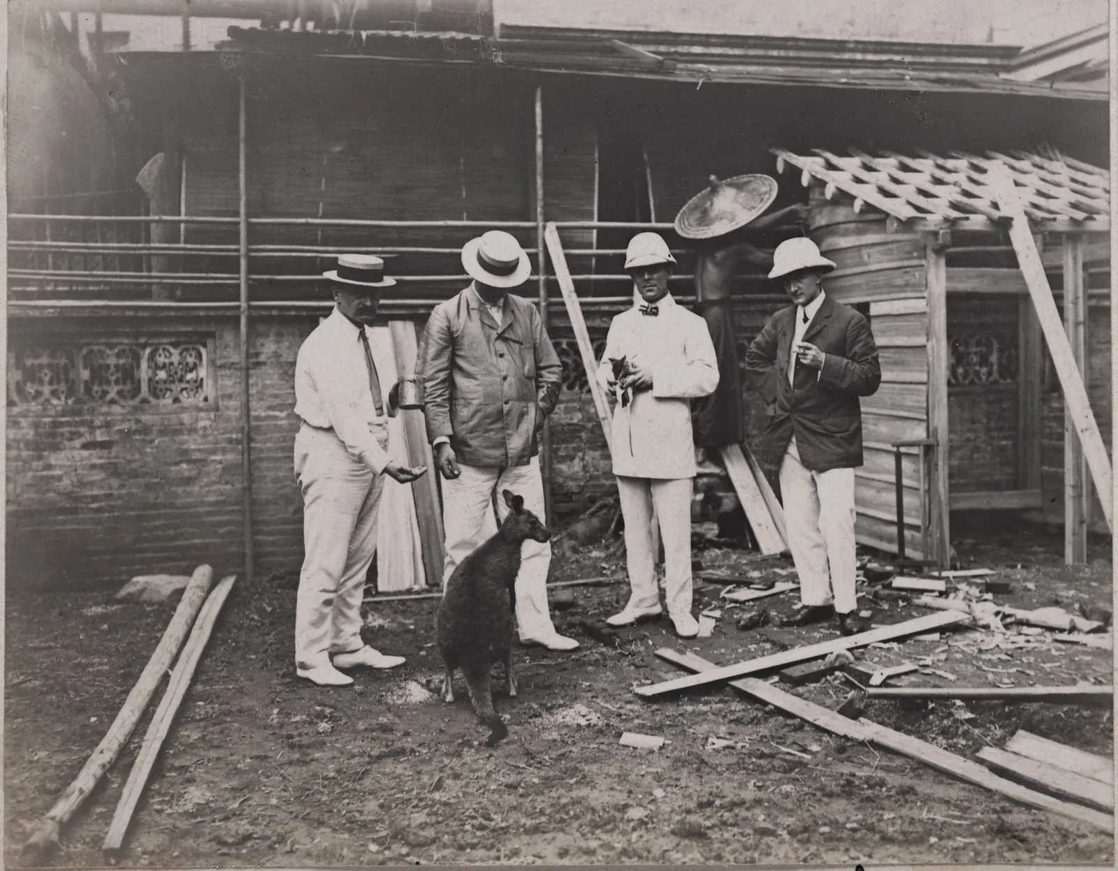Four men in white suits, boaters and pith helmets on a building site beside a bamboo fence. One holds a joey, and a kangaroo stands at their feet.